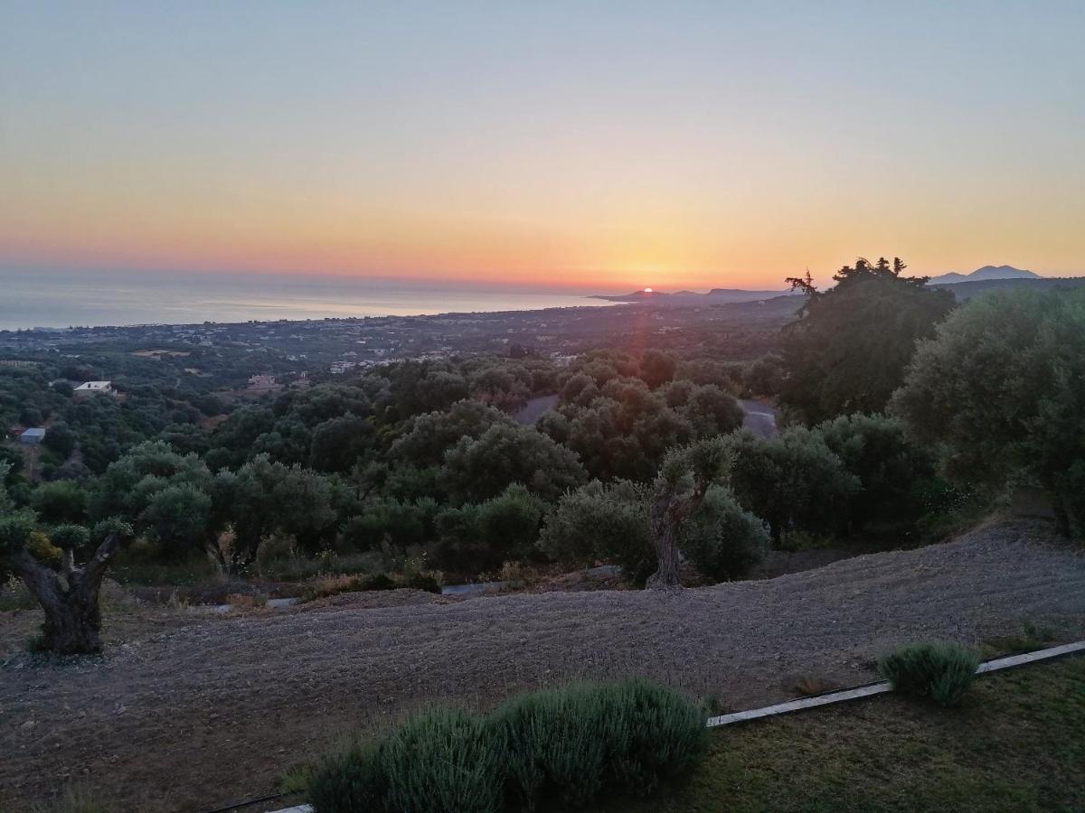 Stavi'S Guesthouse Míloi Εξωτερικό φωτογραφία